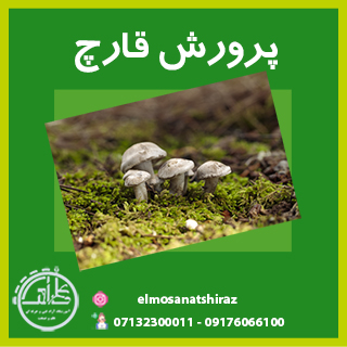 پرورش قارچ